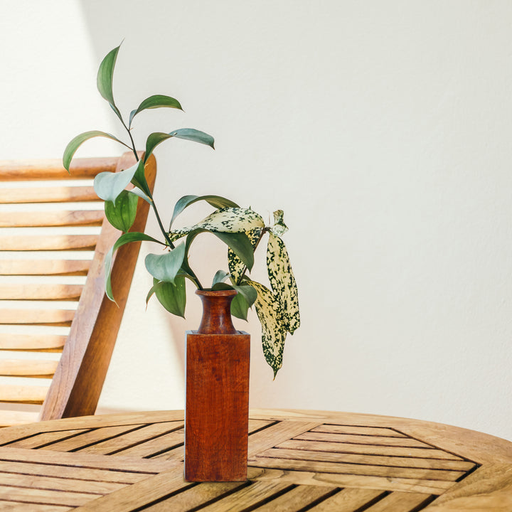 Kanha Mangowood Vase