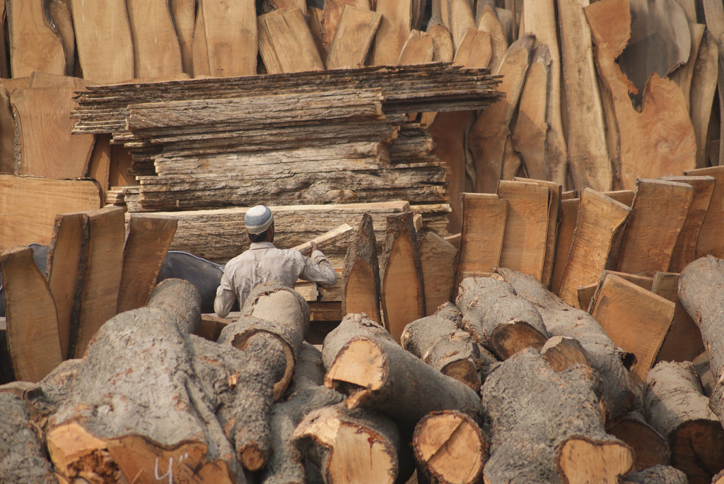 Explore the Center of Wood Working Craft in India