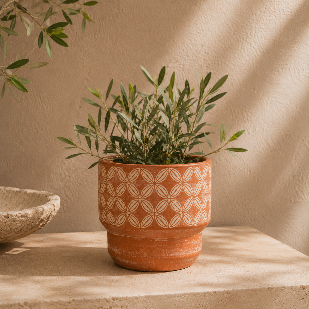 Bamboo Cadence terracotta 8.5 inches plant pot sitting on a living room console table with green plant foliage  