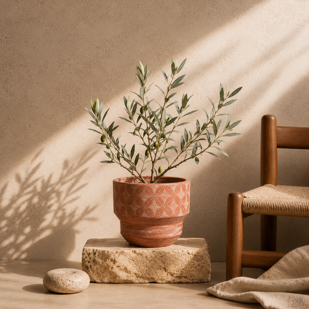 Bamboo Cadence terracotta 7 inches plant pot sitting on a living room console table with green plant foliage  
