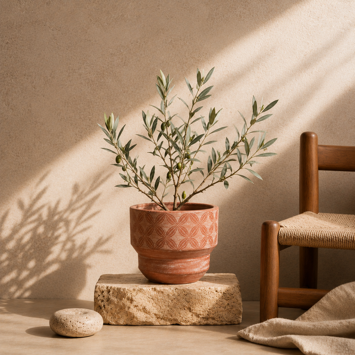 Bamboo Cadence terracotta 7 inches plant pot sitting on a living room console table with green plant foliage  